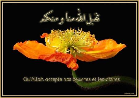 aid saaid