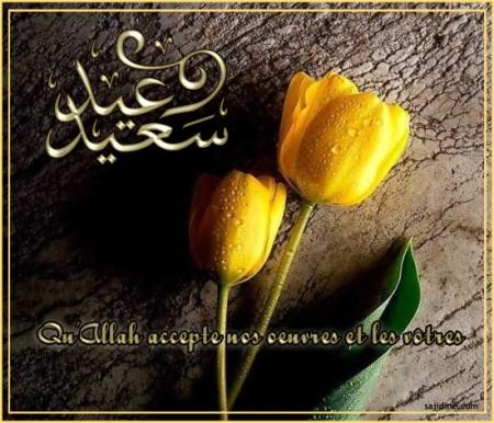aid saaid 2