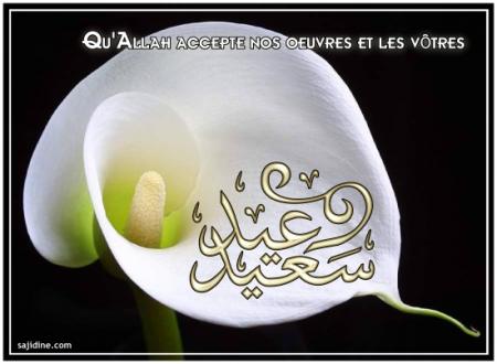aid saaid 3