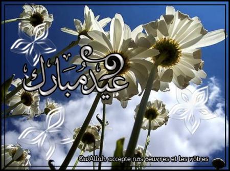aid saaid 1